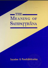 The Meaning of Satipatthana