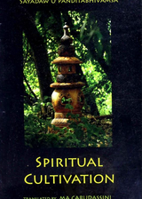 Spiritual Cultivation